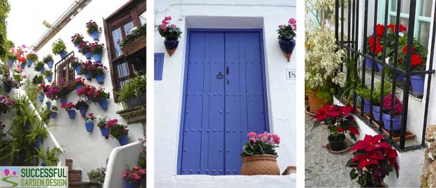 Coloured-Garden-Pots