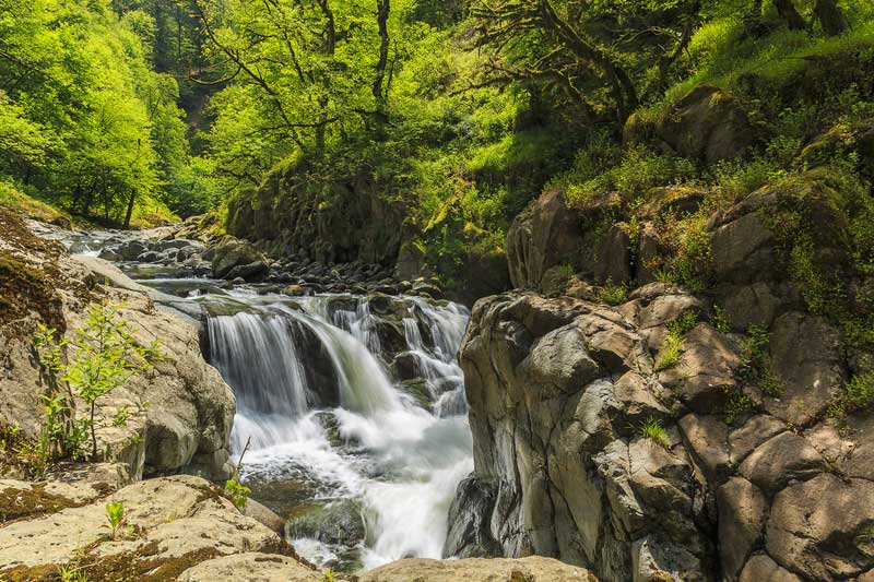 Hirkan National Park