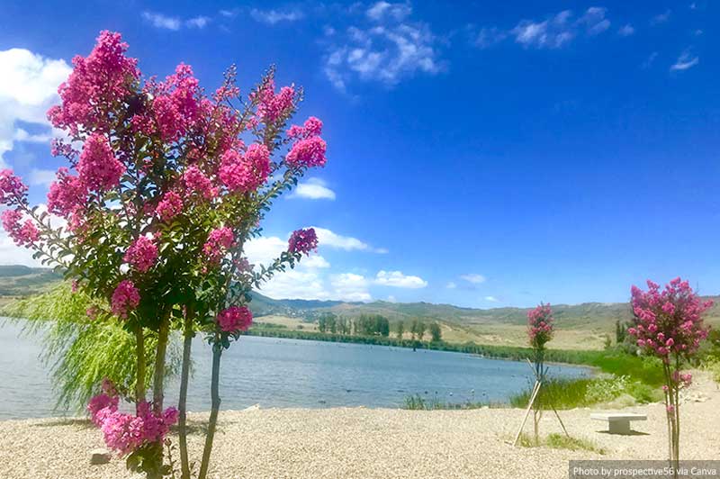 Lisi lake, Tbilisi, Georgia