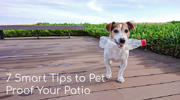 pet proof your patio