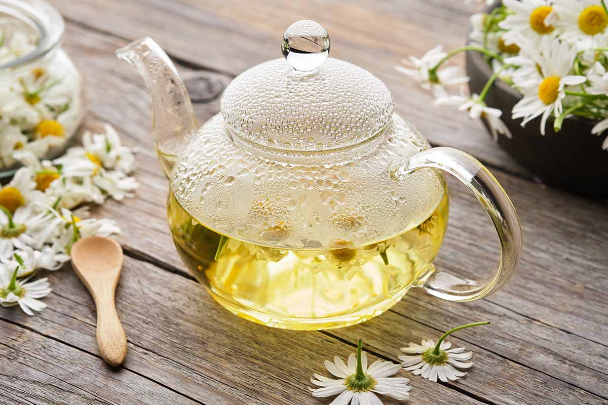 A close up horizontal image of a pot of tea set on a wooden surface with chamomile flowers scattered around.