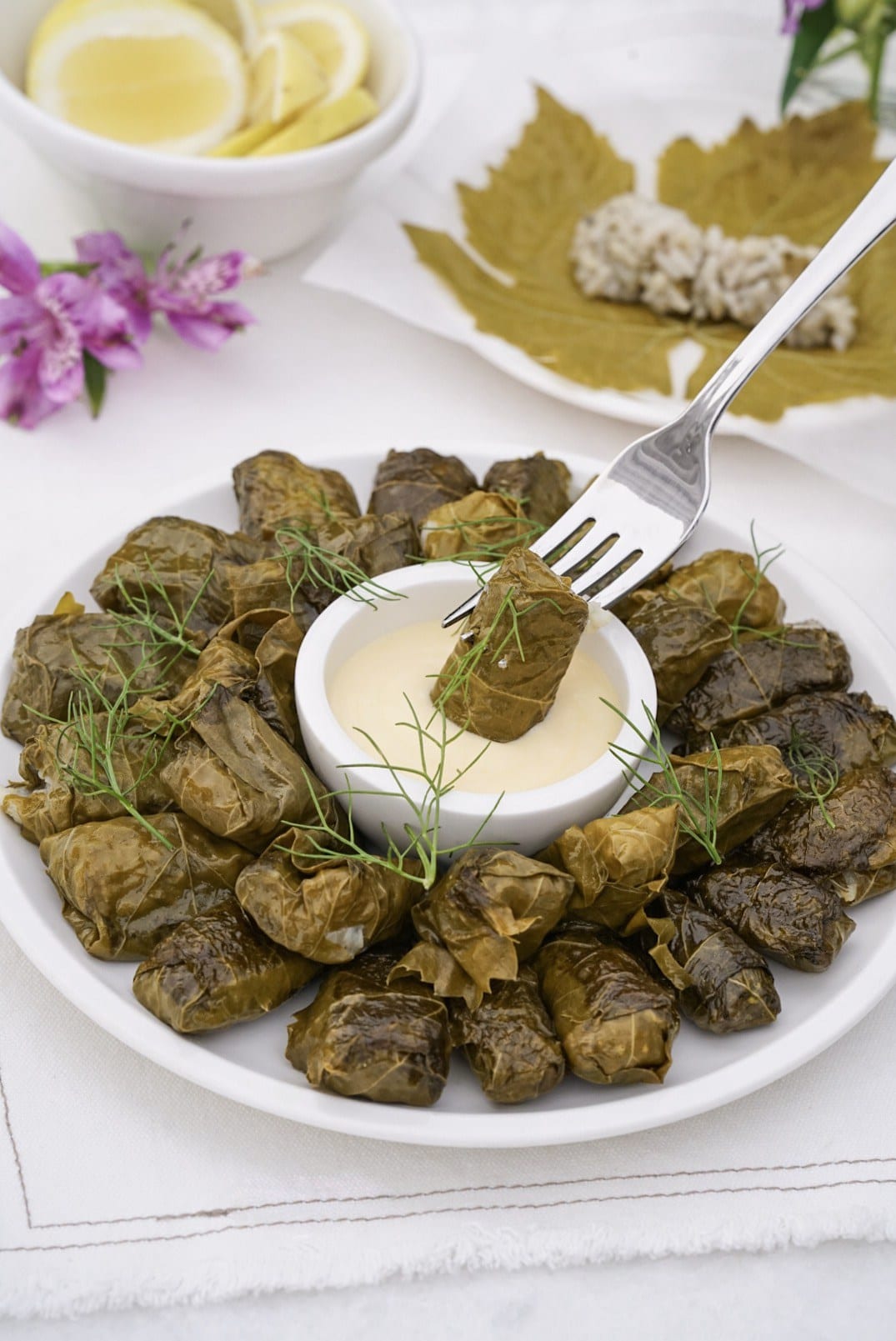 Stuffed Grape Leaves Dolmades dairy and gluten free