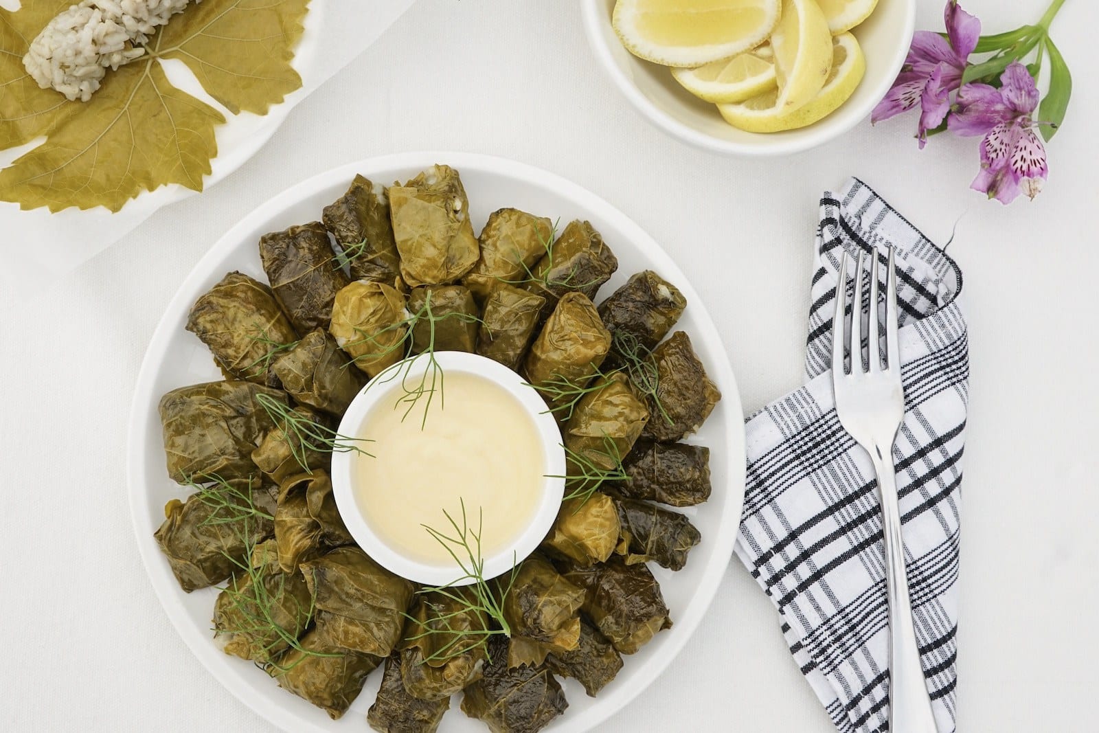 Stuffed Grape Leaves Dolmades dairy and gluten free