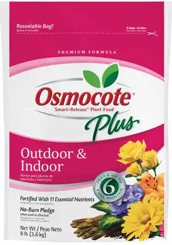 A close up of the packaging of Osmocote Plus Indoor and Outdoor plant food isolated on a white background.