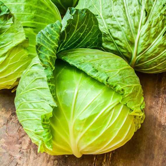 Three head of harvested 'Brunswick' cabbage on a wooden table.