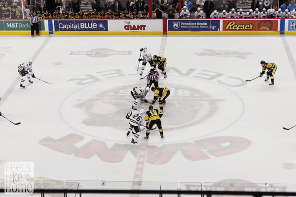 hershey-bears-at-giant-center