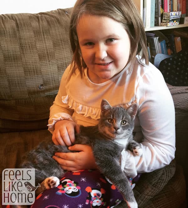 A girl sitting on a chair with a cat