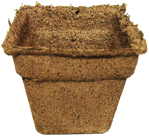 A close up of a biodegradable Cow Pot isolated on a white background.