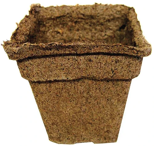 A close up of a biodegradable CowPot isolated on a white background.