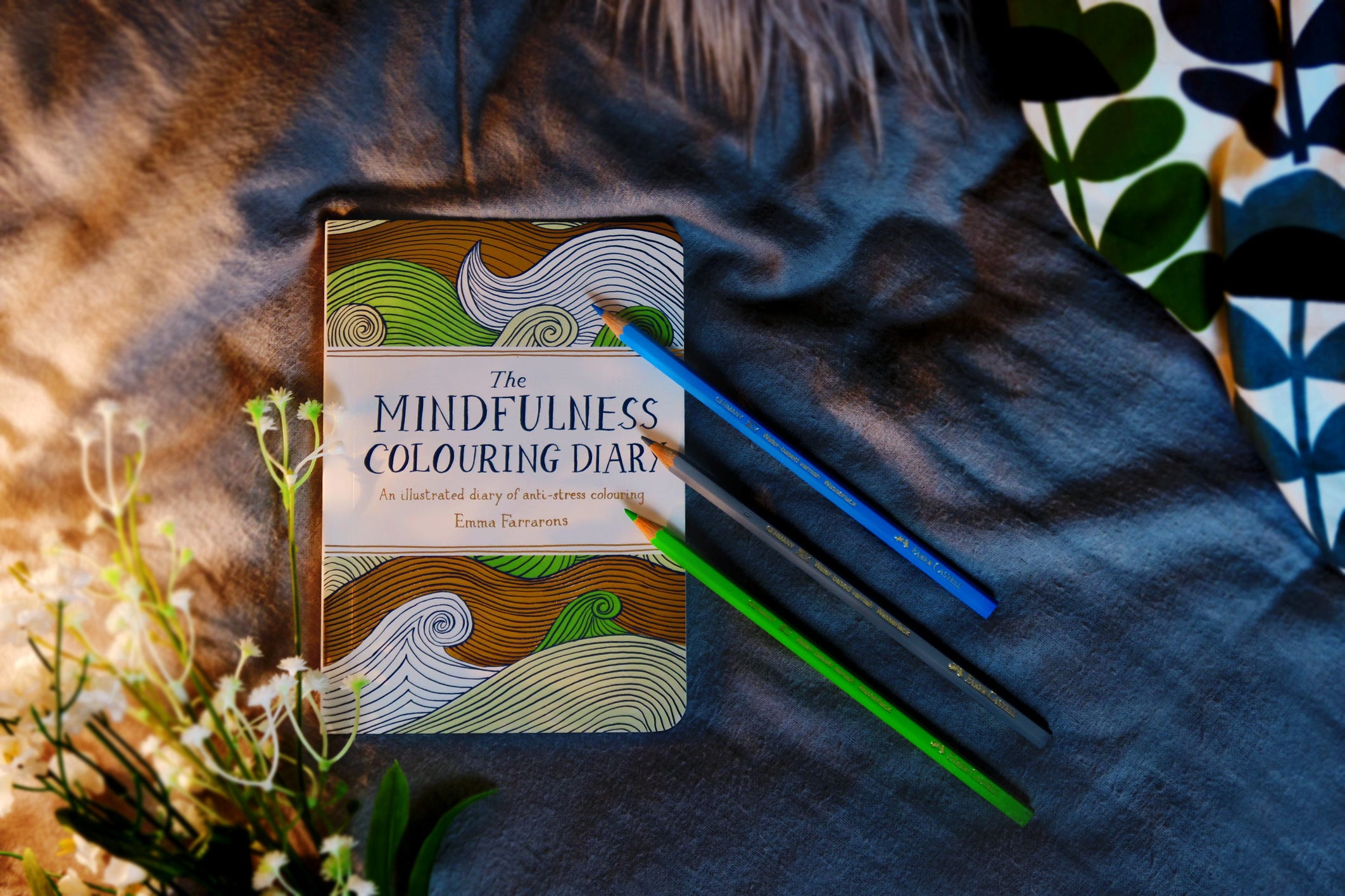 mindfullness-diary