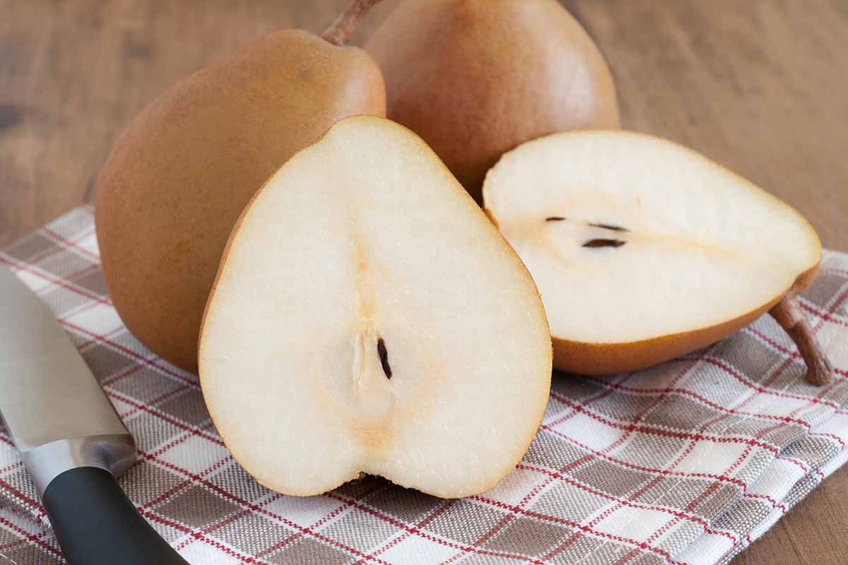 A close up horizontal image of whole and sliced \'Taylor\'s Gold\' pears set on a wooden table.