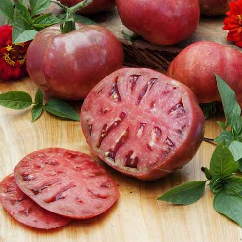 A close up of a \'Cherokee Purple\' heirloom tomato, cut in half and sliced on a wooden surface. Small herb leaves are scattered around it, and in the background are three whole tomatoes and red flowers.