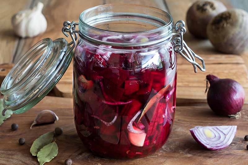 A close up of a mason jar containing chopped beets in liquid. The background is a wooden surface with a garlic bulb, garlic clove, onions, and more of the same root vegetable.