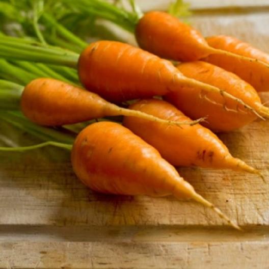 A close up of \'Chantenay Red Core\' carrots with short stubby roots, and green foliage still attached, set on a wooden surface.