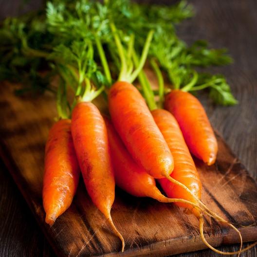A close up of \'Little Finger\' carrots freshly harvested and cleaned, with foliage still attached, set on a wooden surface with the background fading to soft focus.