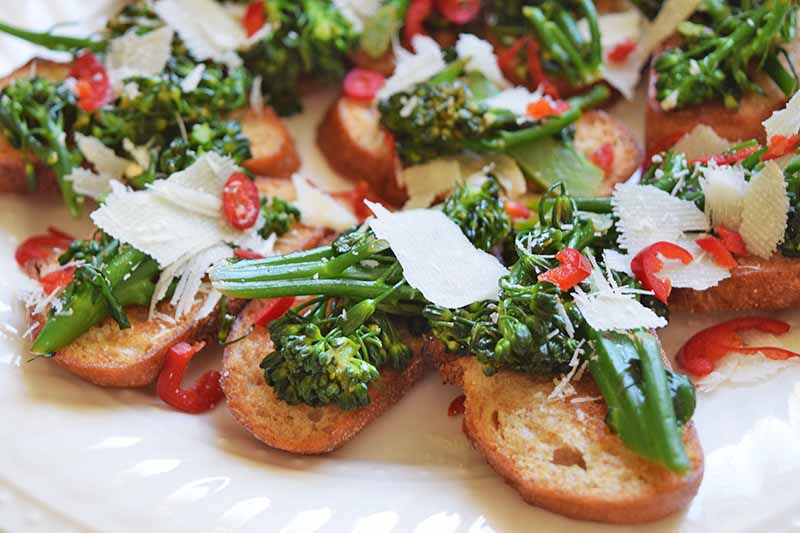 A close up of a white plate filled with small toasted crostini topped with broccoli rabe, red chili peppers, and pecorino cheese, fading to soft focus in the background.