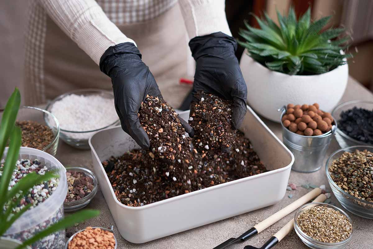 A horizontal image of a gardener\'s gloved hands preparing potting mix for houseplants.