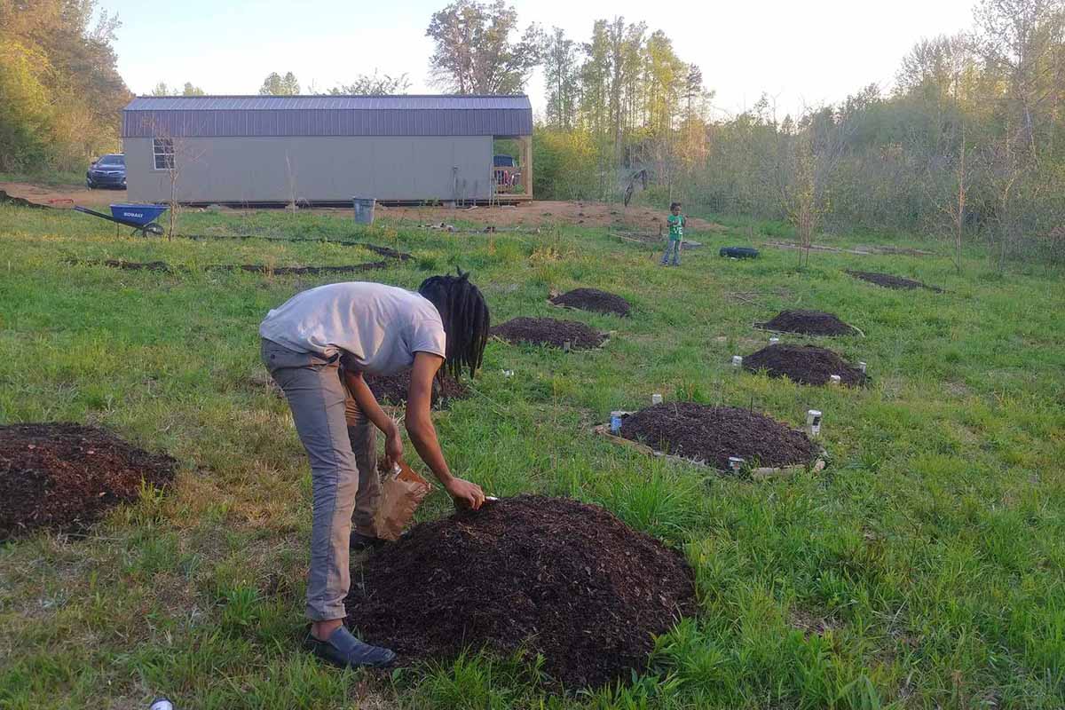 A horizontal shot of a grassy field with mounds of soil spaced evenly apart. In the foreground a woman is planting seeds into the mound. In the background is a long building on the edge of a forested area.