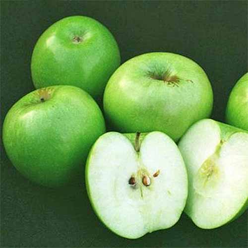 A square image of three whole and one halved \'Granny Smith\' apple, isolated on a black background.
