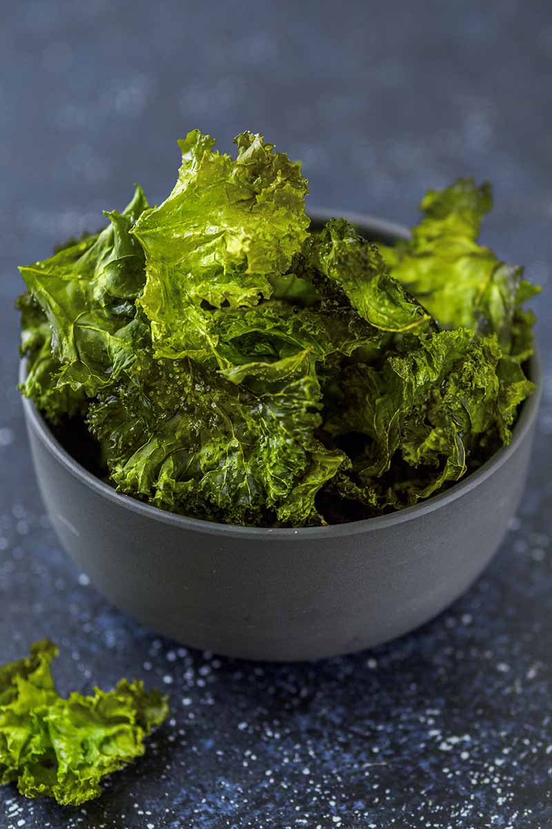 A close up of a gray ceramic bowl containing kale chips, on a dark gray background.