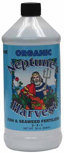 A vertical close up shot of a bottle of Neptune\'s Harvest fertilizer.