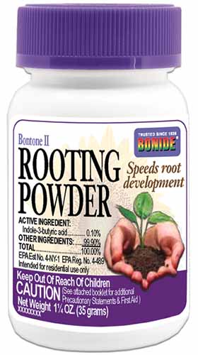 A product shot of a purple capped bottle of Bonide rooting powder.