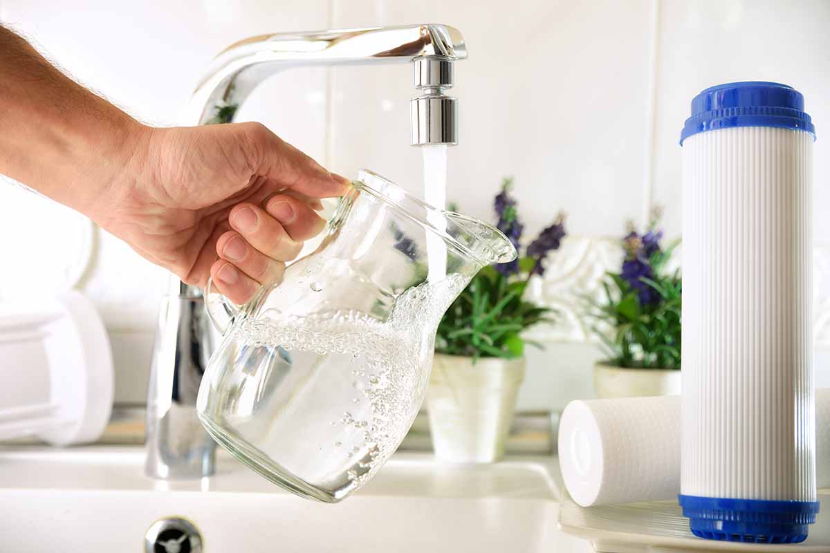 A horizontal shot of a man\'s hand holding a glass pitcher under a faucet and filling it. In the background are several houseplants along the back of the sink.