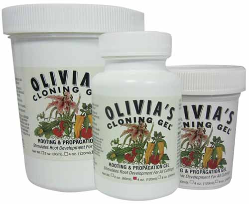 A horizontal product photo of three jars of Olivia\'s Cloning Gel.