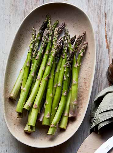 A close up of a bowl of \'Millenium\' asparagus spears set on a wooden table.