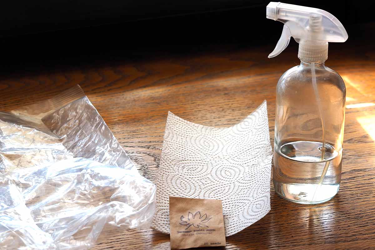 A horizontal image of propagation supplies on a wooden table.