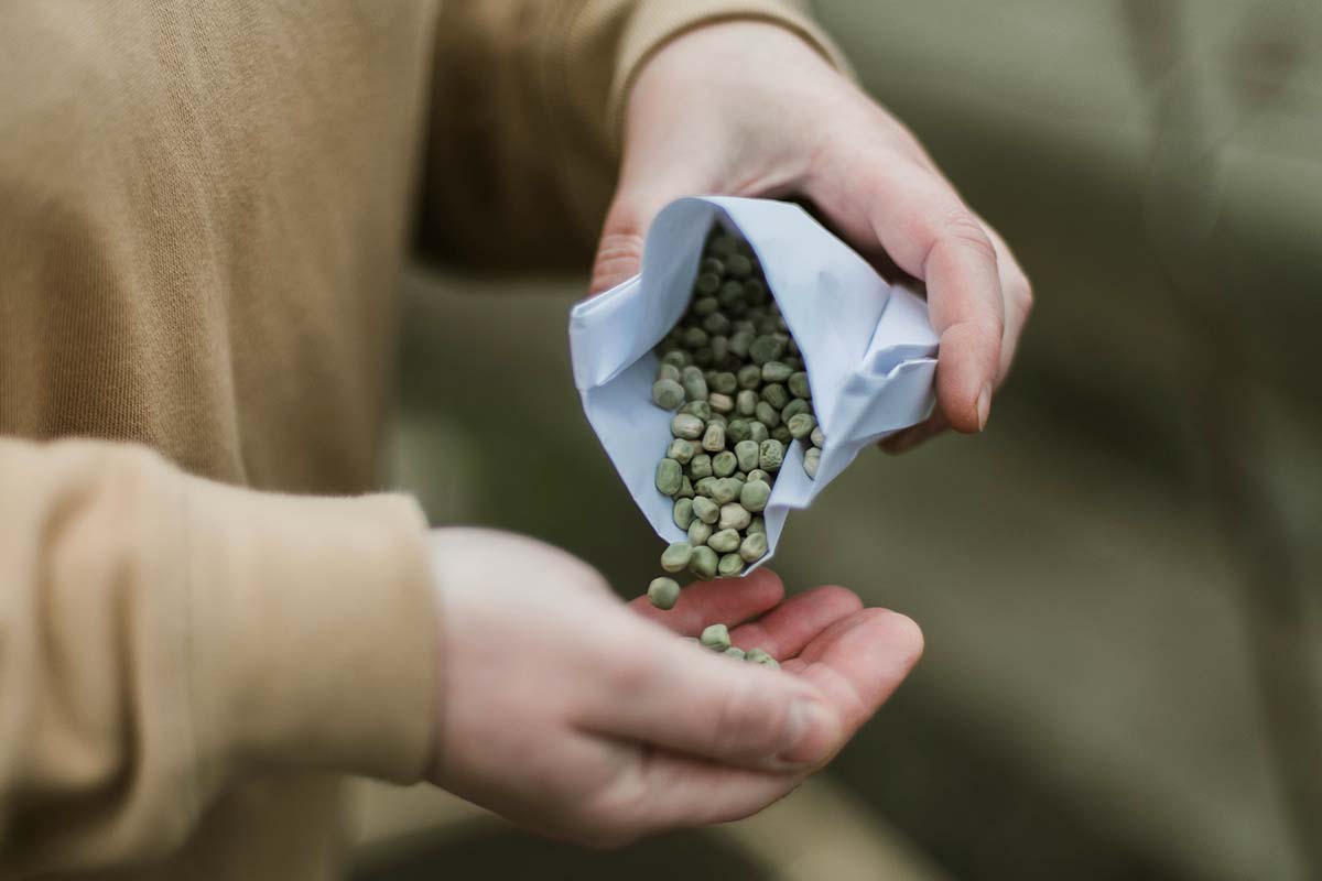 A horizontal photo of a gardener pouring seeds out of a paper envelope into his open hand.