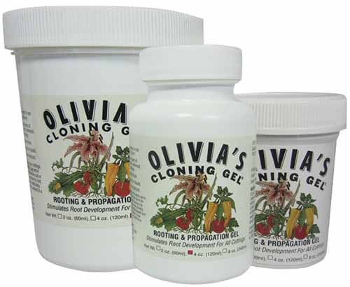 A close up of three different jar sizes of Olivia\'s cloning gel isolated on a white background.