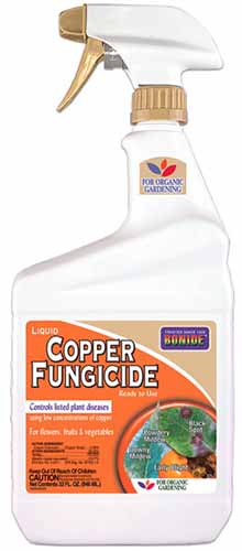 A close up of a bottle of Bonide Copper Fungicide isolated on a white background.