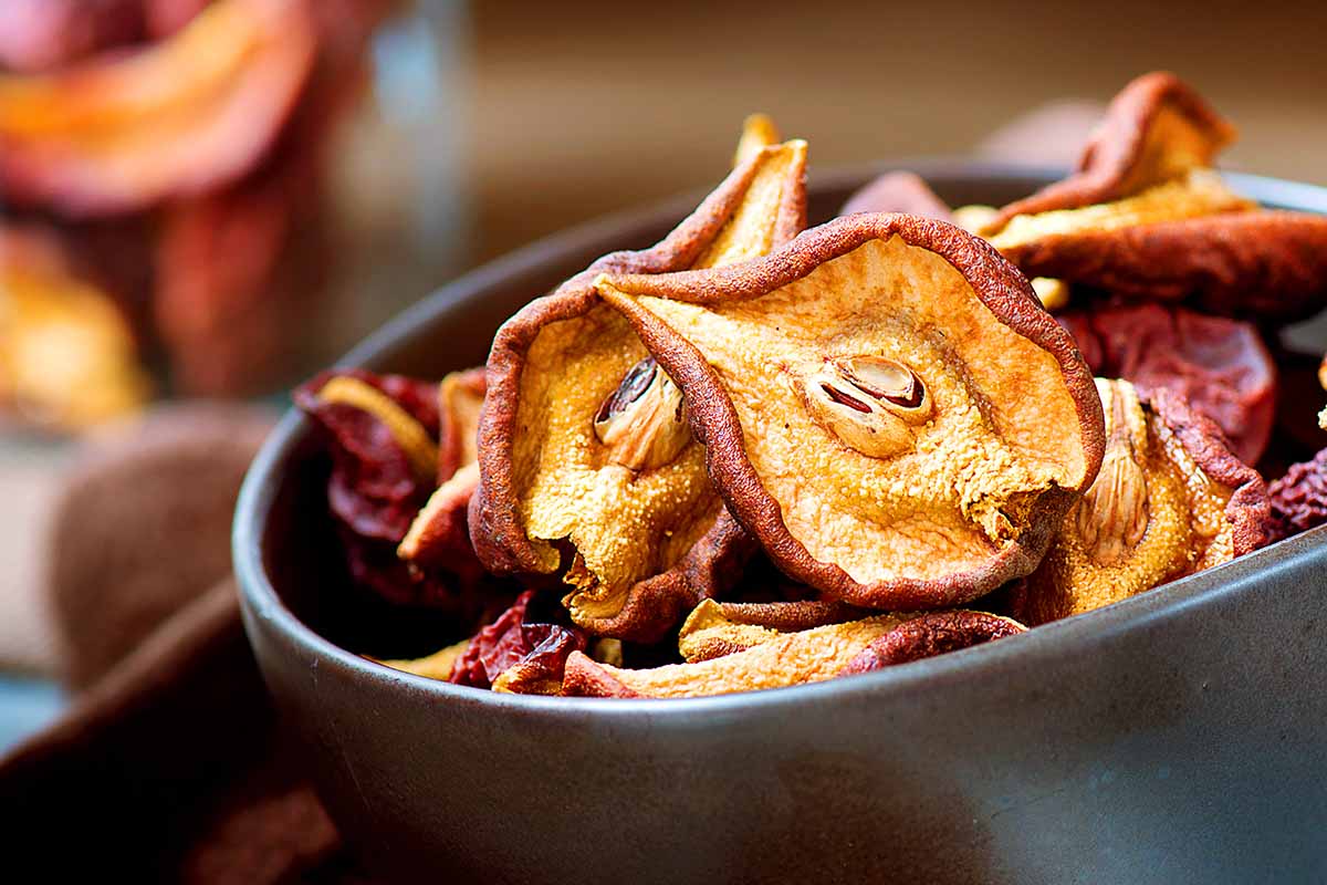 A close up horizontal image of dehydrated pear slices in a bowl pictured on a soft focus background.